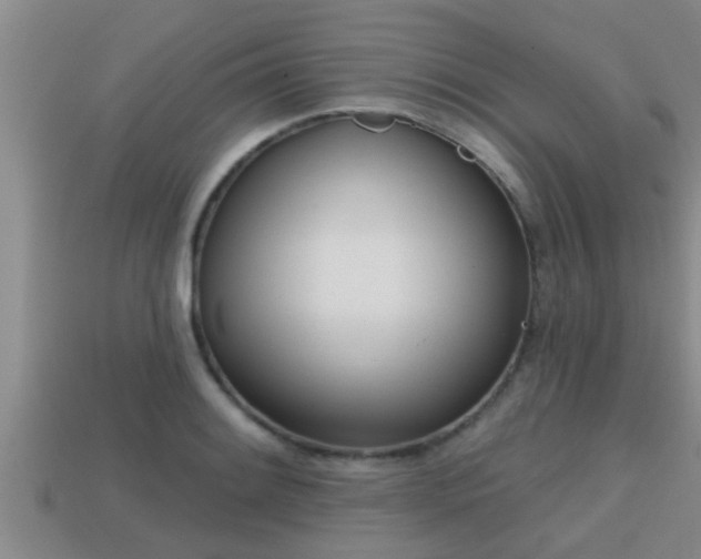 X0000113201084200909171509