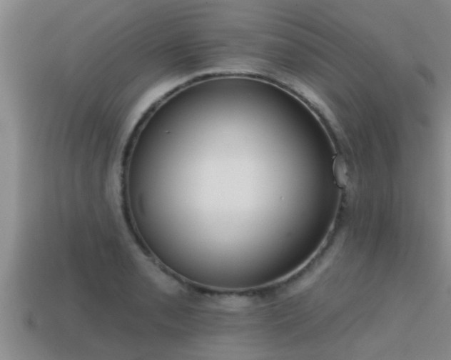 X0000113201085200909171509