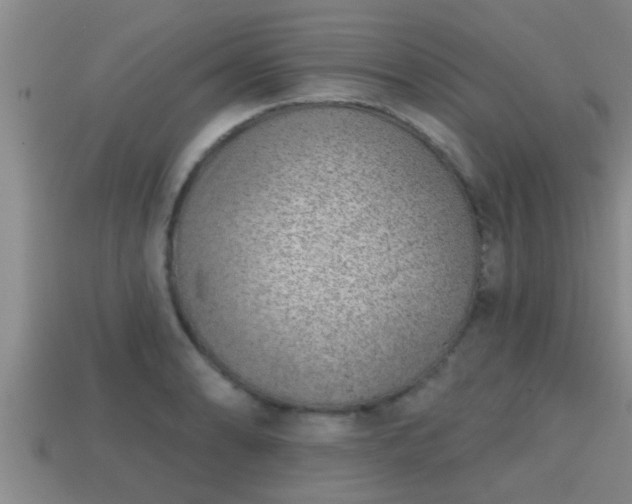 X0000113201086200909171509