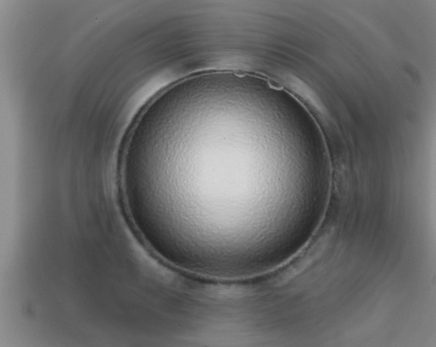 X0000113201087200909171509