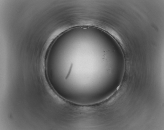 X0000113201088200909171509