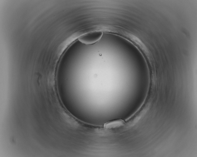 X0000113201089200909171509