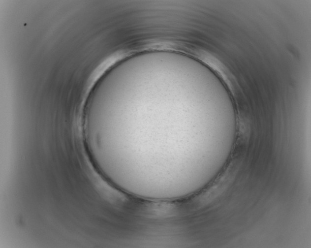 X0000113201090200909171509