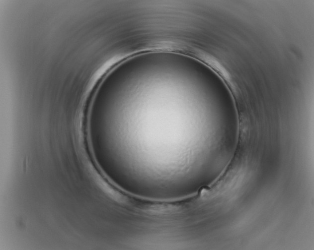 X0000113201091200909171509