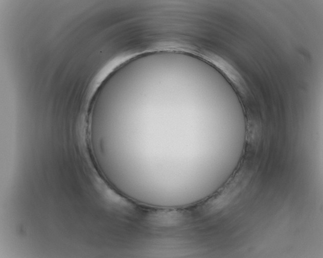 X0000113201094200909171509