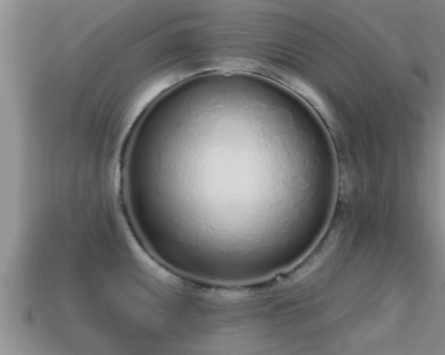 X0000113201095200909171509