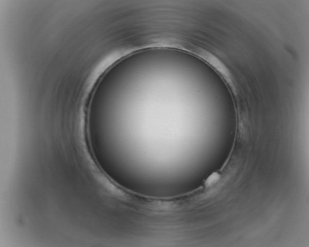 X0000113201096200909171509