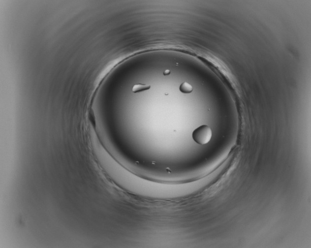 X0000113201097200909171509