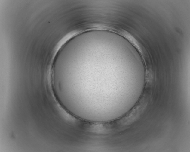 X0000113201098200909171508