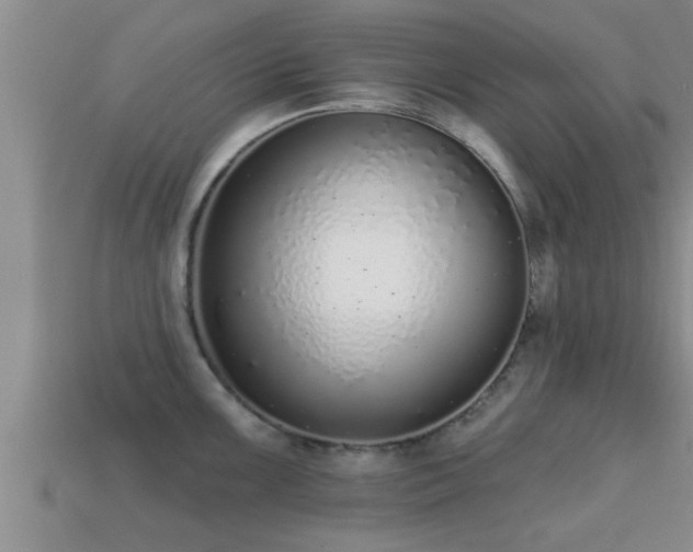 X0000113201099200909171508