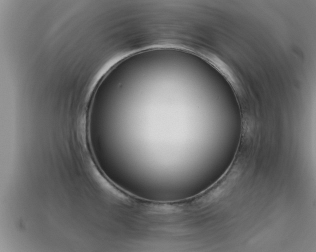 X0000113201100200909171508