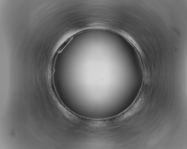 X0000113201101200909171508