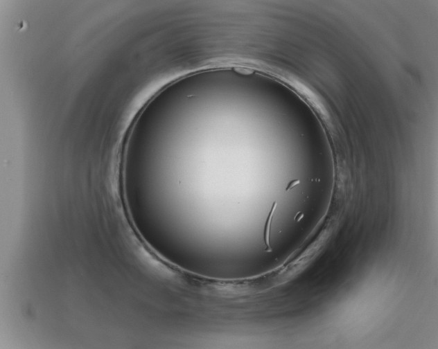 X0000113201102200909171508