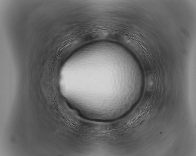 X0000113201105200909171508