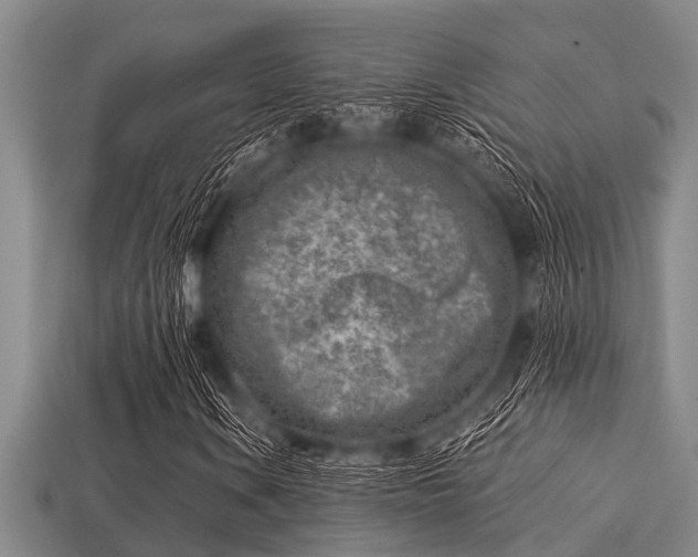 X0000113201106200909171508