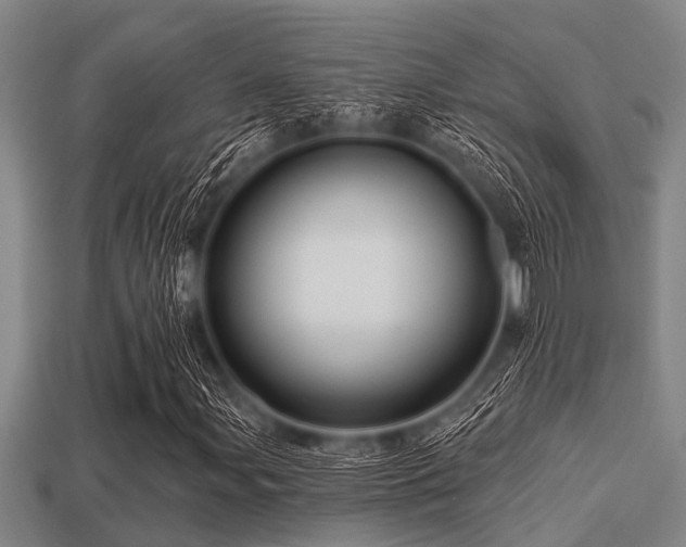 X0000113201107200909171508