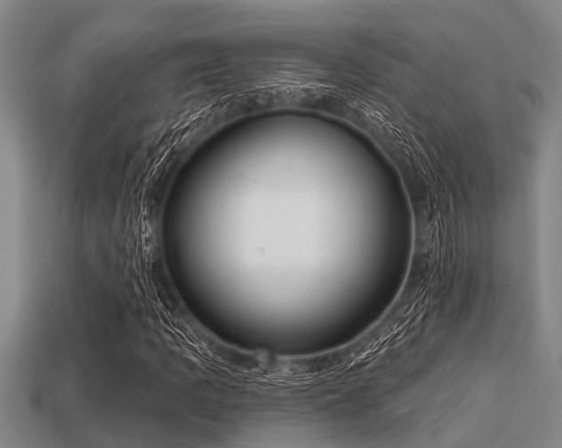 X0000113201109200909171508