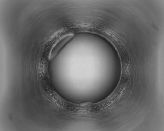 X0000113201110200909171508