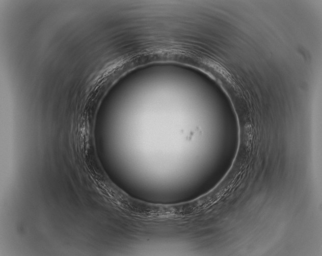 X0000113201111200909171508