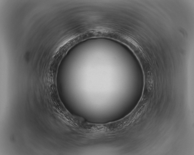 X0000113201112200909171508