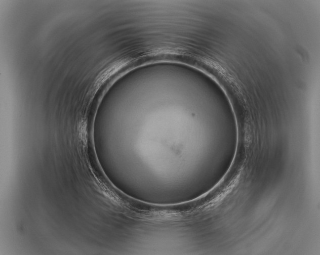 X0000113201113200909171508