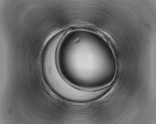 X0000113201114200909171508