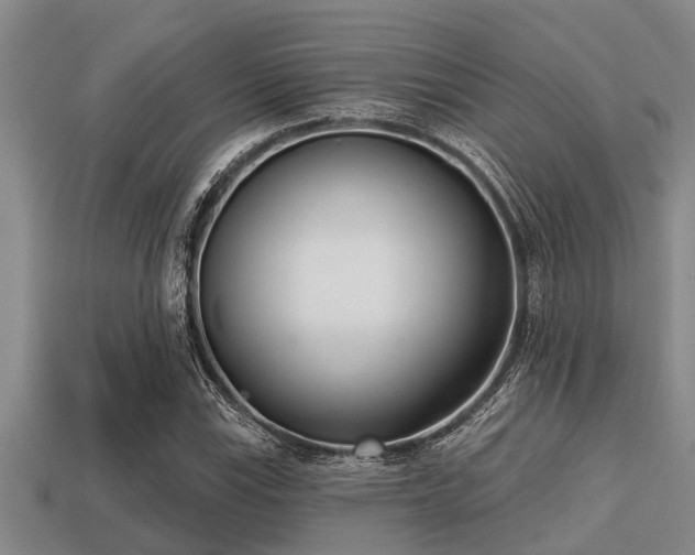 X0000113201115200909171508