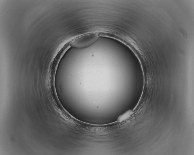 X0000113201116200909171508