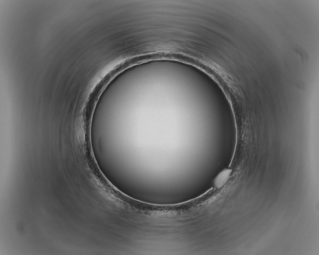 X0000113201118200909171508