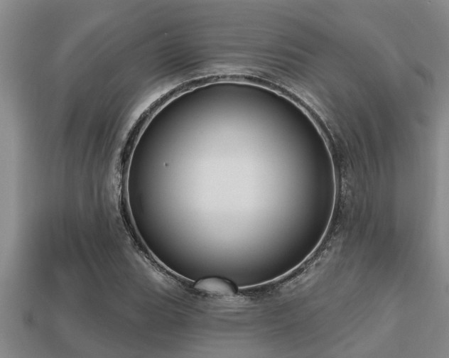 X0000113201119200909171508