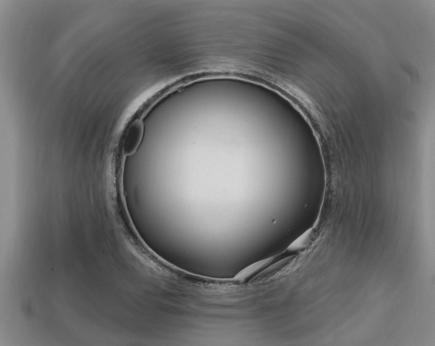 X0000113201120200909171508