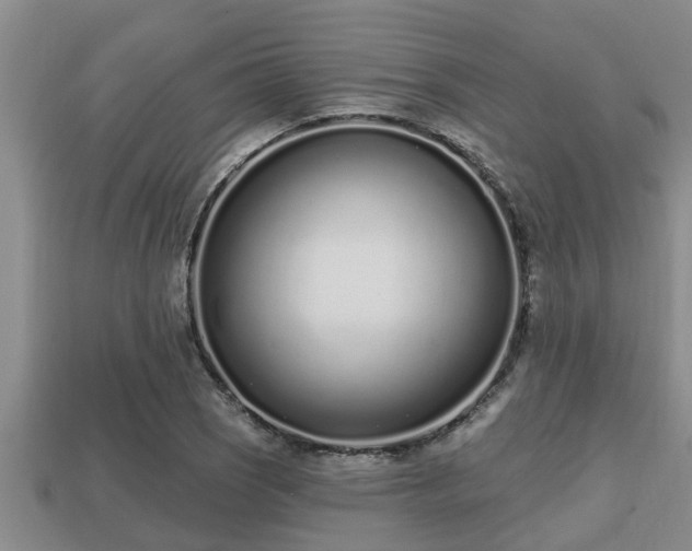 X0000113201121200909171508