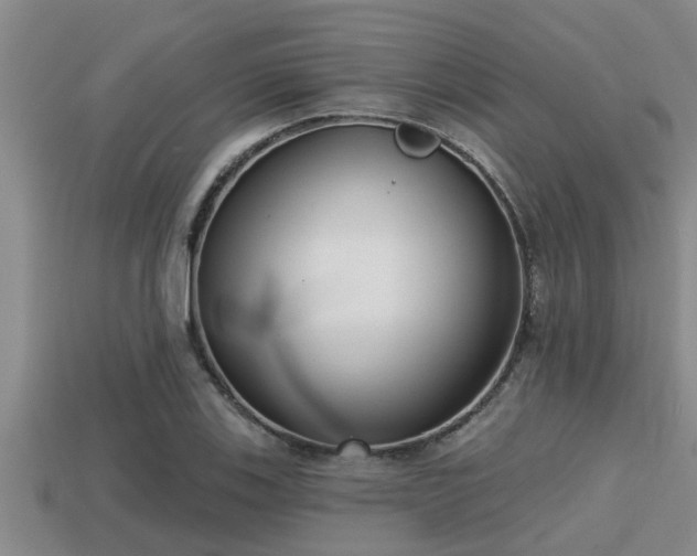 X0000113201123200909171508