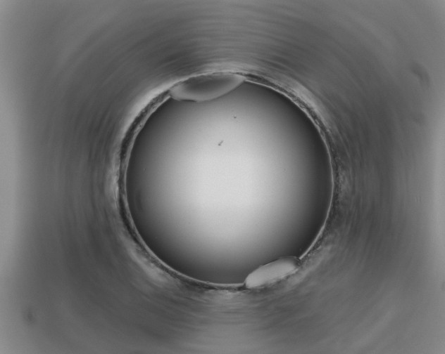 X0000113201124200909171508