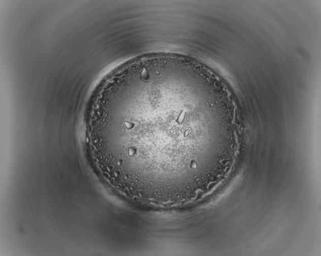 X0000113201125200909171508