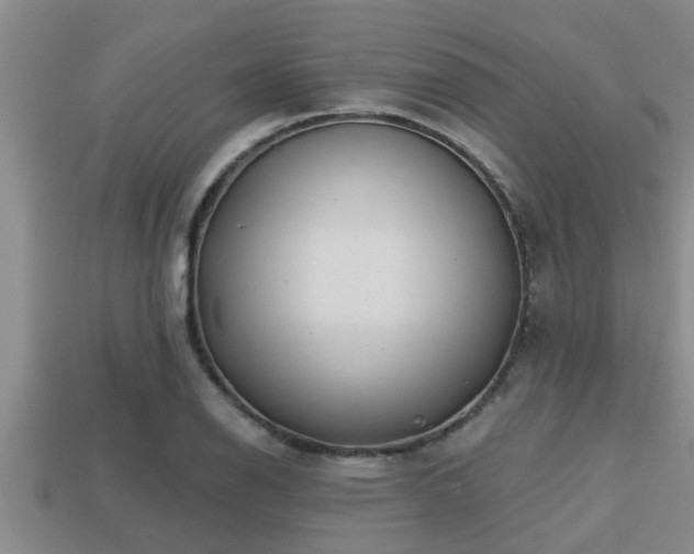 X0000113201126200909171508