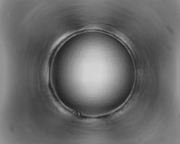 X0000113201127200909171508