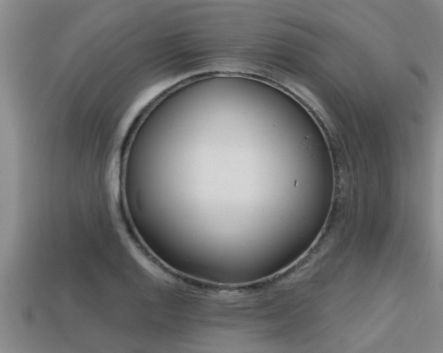 X0000113201128200909171508