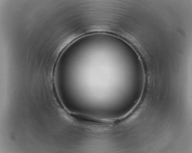 X0000113201129200909171508