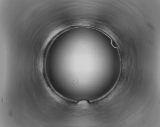 X0000113201131200909171508