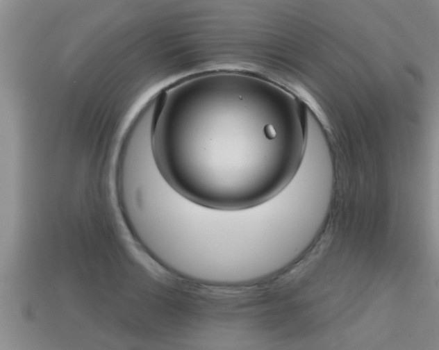 X0000113201132200909171508