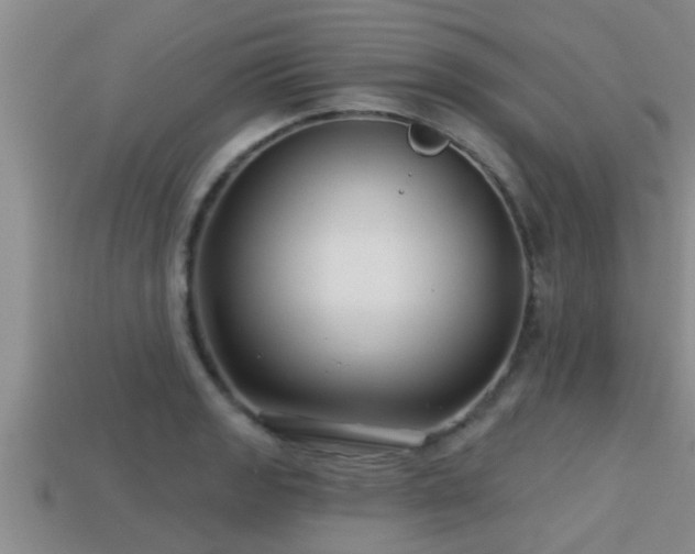 X0000113201133200909171508