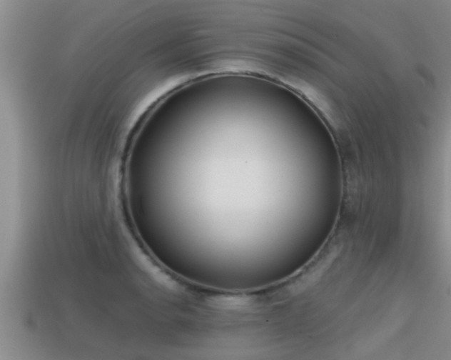 X0000113201134200909171508