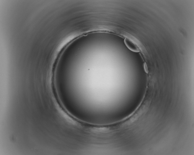 X0000113201135200909171508