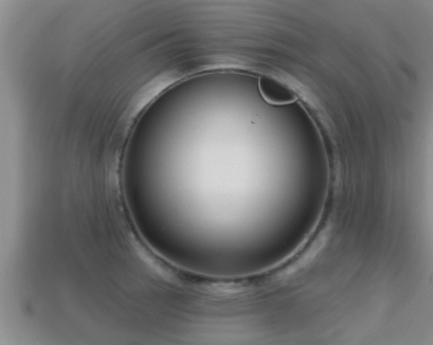 X0000113201137200909171508