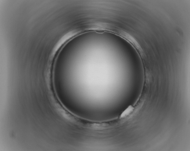 X0000113201138200909171508