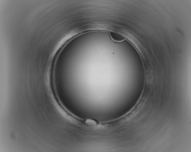 X0000113201139200909171508