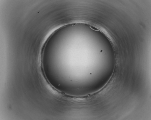 X0000113201140200909171508