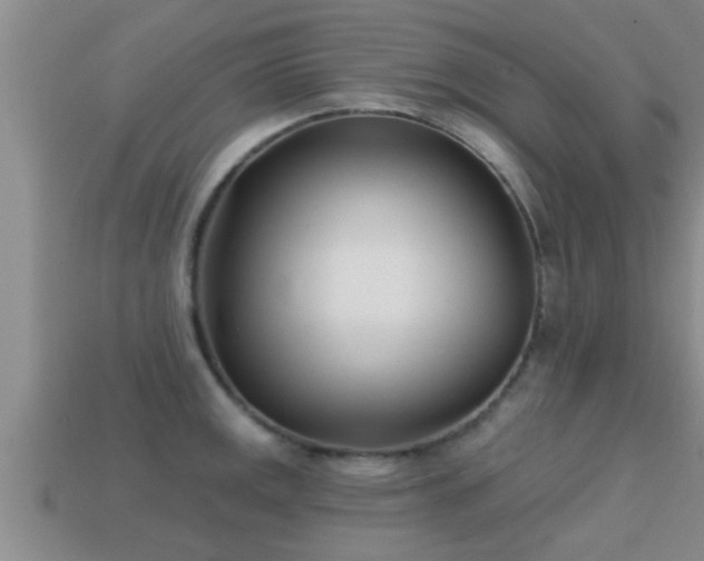 X0000113201141200909171508