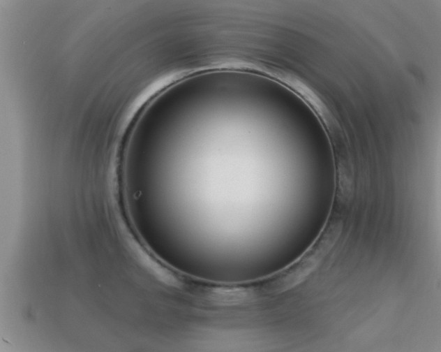 X0000113201142200909171508